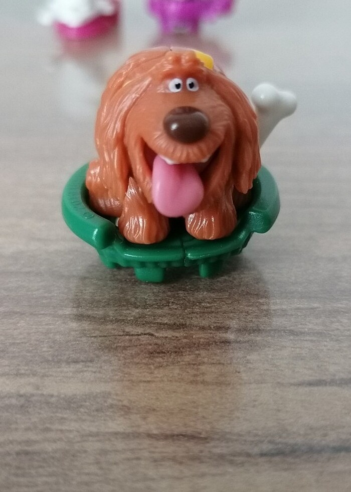 Evcil Hayvanların Gizli Yaşamı - Görsel 3