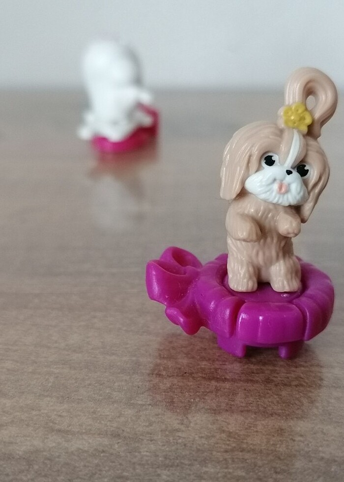 Evcil Hayvanların Gizli Yaşamı - Görsel 4