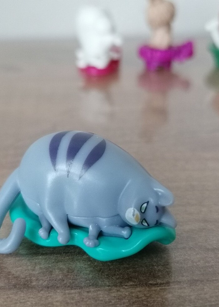 Evcil Hayvanların Gizli Yaşamı - Görsel 5