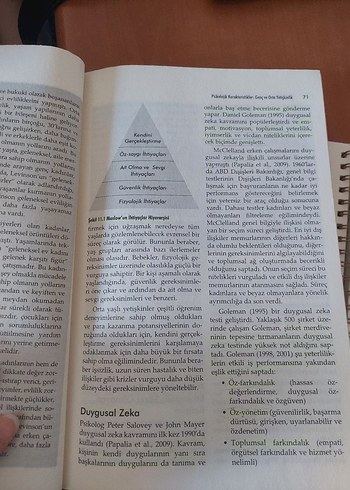 Beden İnsan Davranışı ve Sosyal Çevre II Kitabı