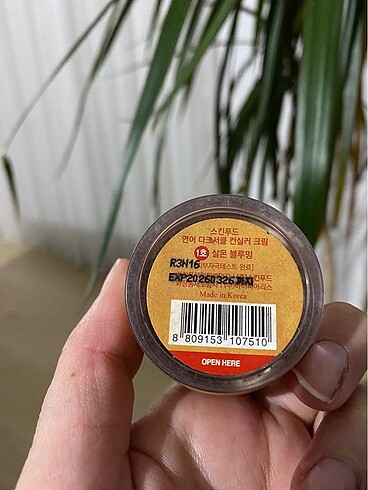 Missha Salmon skinfood concealer/gözaltı kapatıcısı