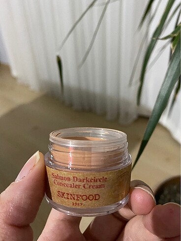  Beden Renk Salmon skinfood concealer/gözaltı kapatıcısı