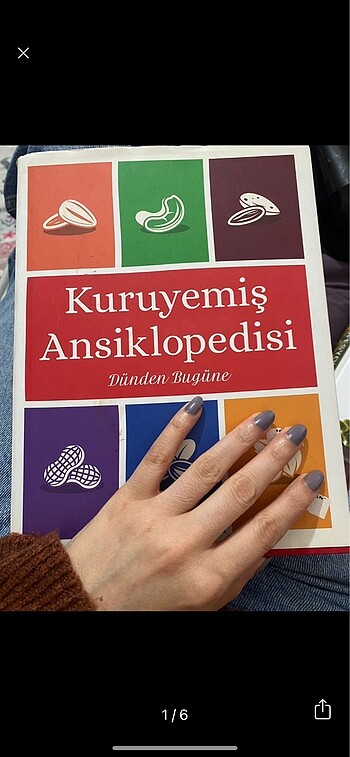 Kuruyemiş ansiklopedisi