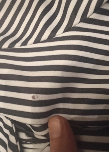 Gri Zebra Desenli Uzun Kollu Kadın Blazer - Görsel 3