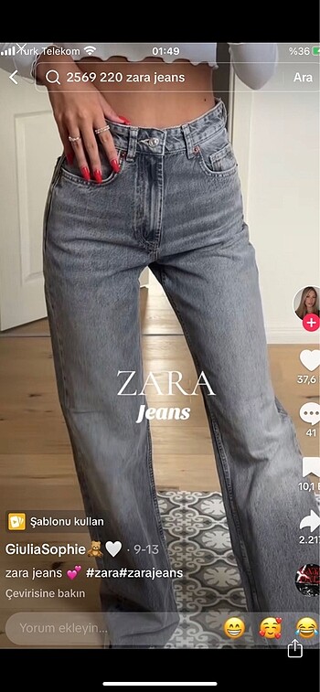 Zara Wide Leg Jean