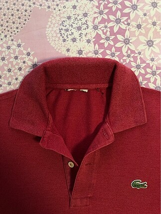 m Beden Lacoste