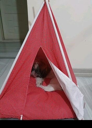 Kedi köpek çadırı