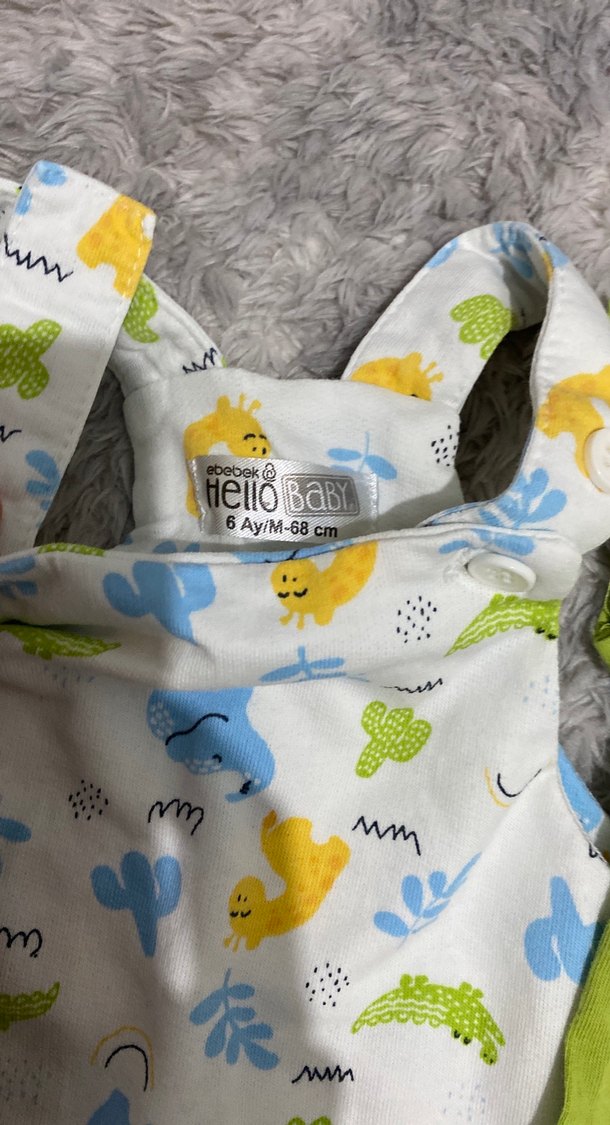 Erkek Çocuk Renkli Askılı Tulum ve Yeşil Tişört - Görsel 2