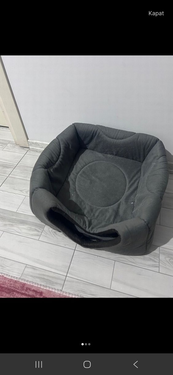 Gri Kedi Yatağı - Görsel 3