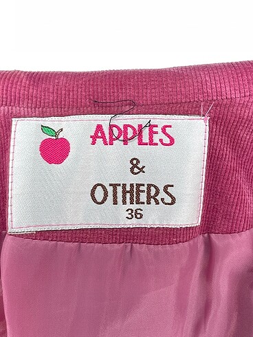 36 Beden pembe Renk Diğer Blazer %70 İndirimli.