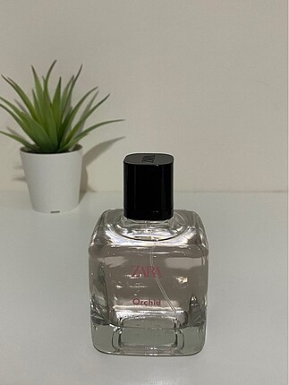 Zara Orchid edp 100 ml