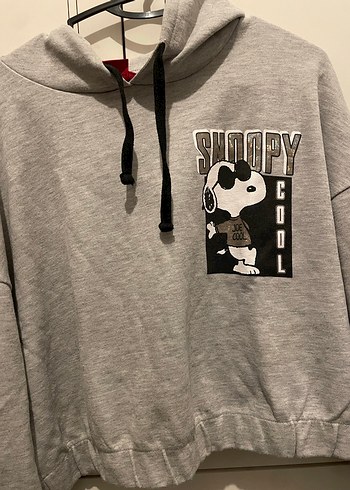 Gri Kapüşonlu Snoopy Baskılı Sweatshirt - Görsel 3