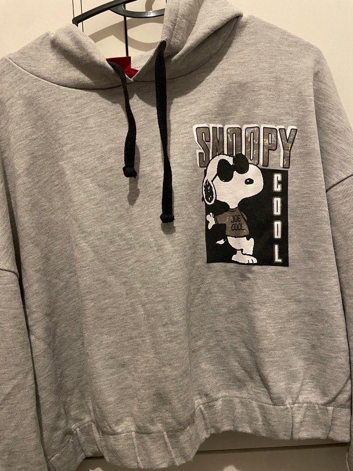 Gri Kapüşonlu Snoopy Baskılı Sweatshirt - Görsel 3