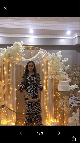 Alt üst zebra takım