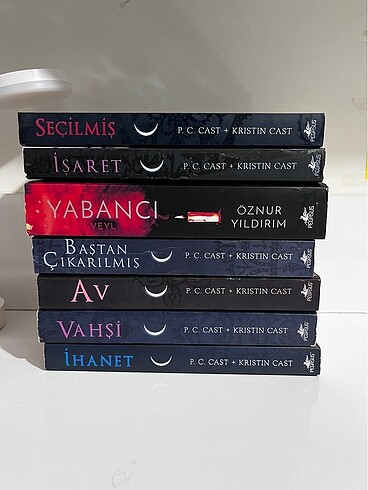 Bir gece evi roman serisi