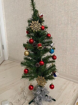 60 cm çam ağacı