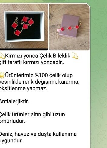  Beden Celik