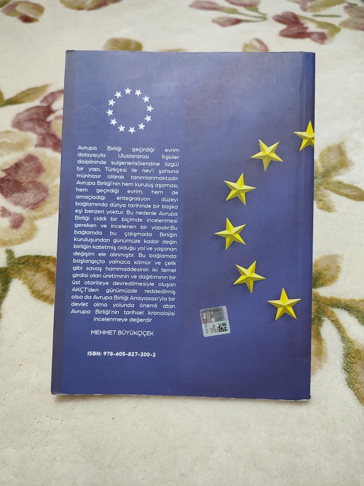 Avrupa Birliği - Mehmet Büyükçiçek - Görsel 2