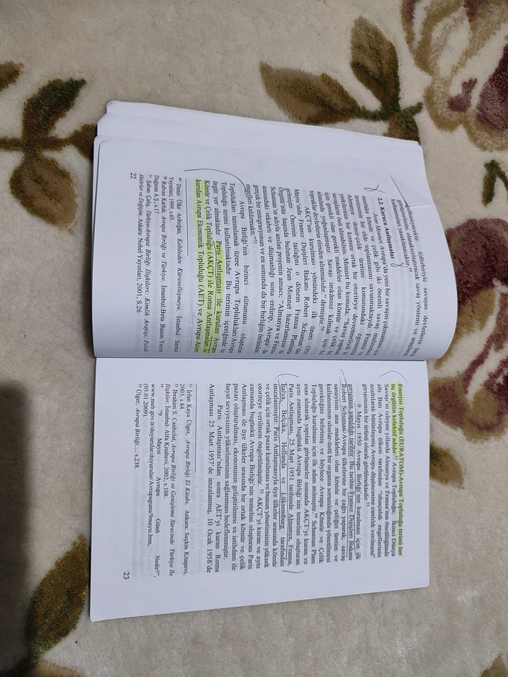 Avrupa Birliği - Mehmet Büyükçiçek - Görsel 3