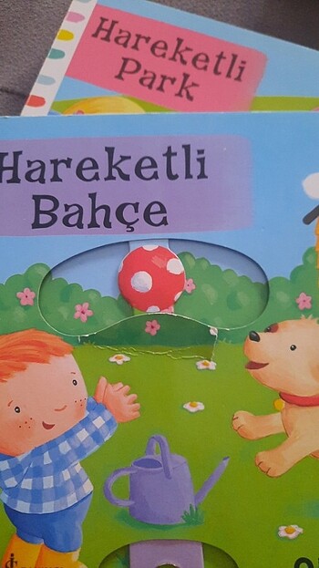  Beden Renk 6 adet Hareketli kitap