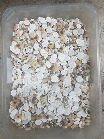 Yılancık tasi