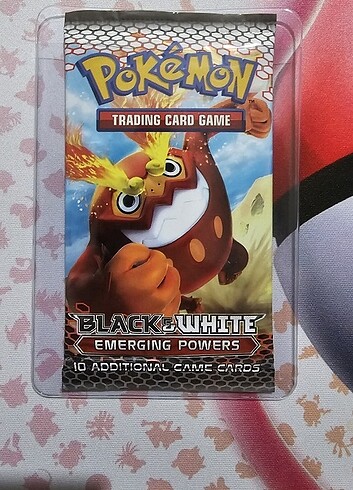 Dani pokemon
