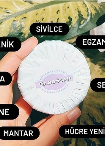 Keçi sütlü sabun