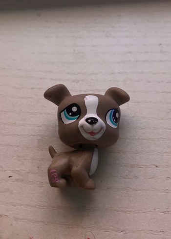 lps miniş