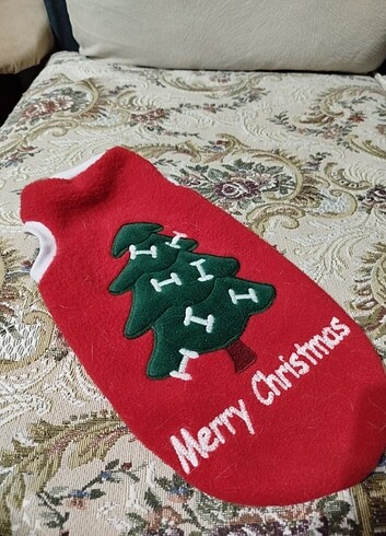 Kedi giysisi - Görsel 2