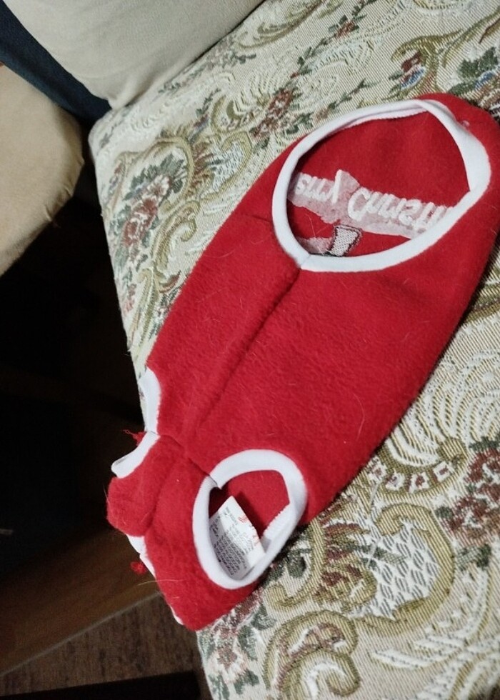 Kedi giysisi - Görsel 3