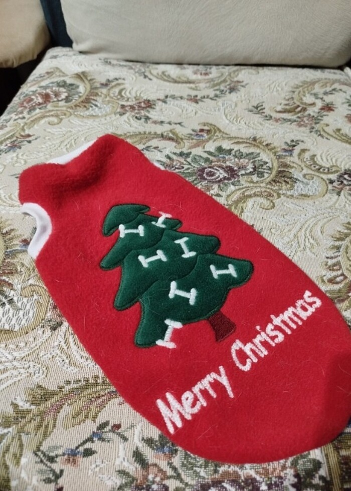 Kedi giysisi - Görsel 2