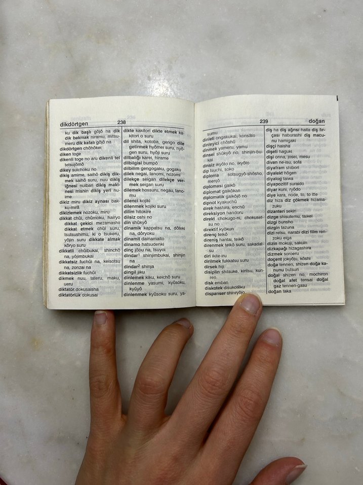 FONO Japonca-Türkçe Cep Sözlüğü - Görsel 5