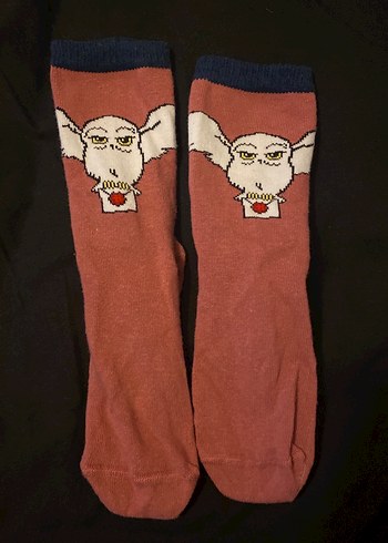 Walt Disney World universal