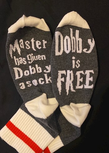 Walt Disney World universal