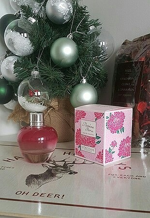 loccitane edp
