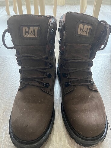 Cat Cat bot acı kahve