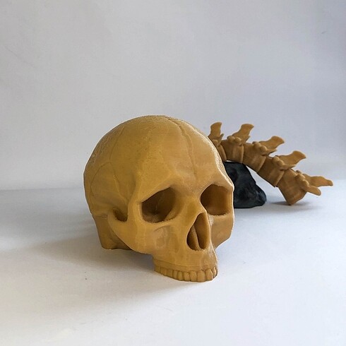 Beden Predator Kafatası Ödülü 3D Figür
