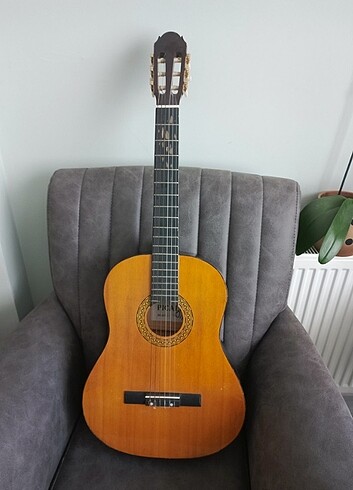 Gitar picaldi