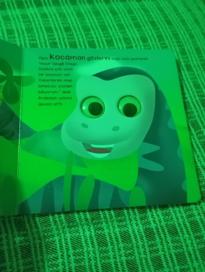 Dinozor Stego ve Sevimli Dostlar Çocuk Kitabı - Görsel 2