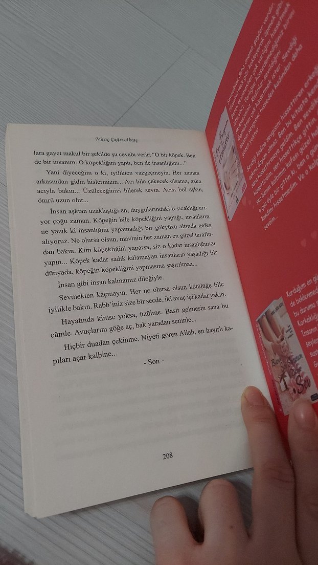 Bana Seni Seviyorum Deme Evlen Benimle - Görsel 3