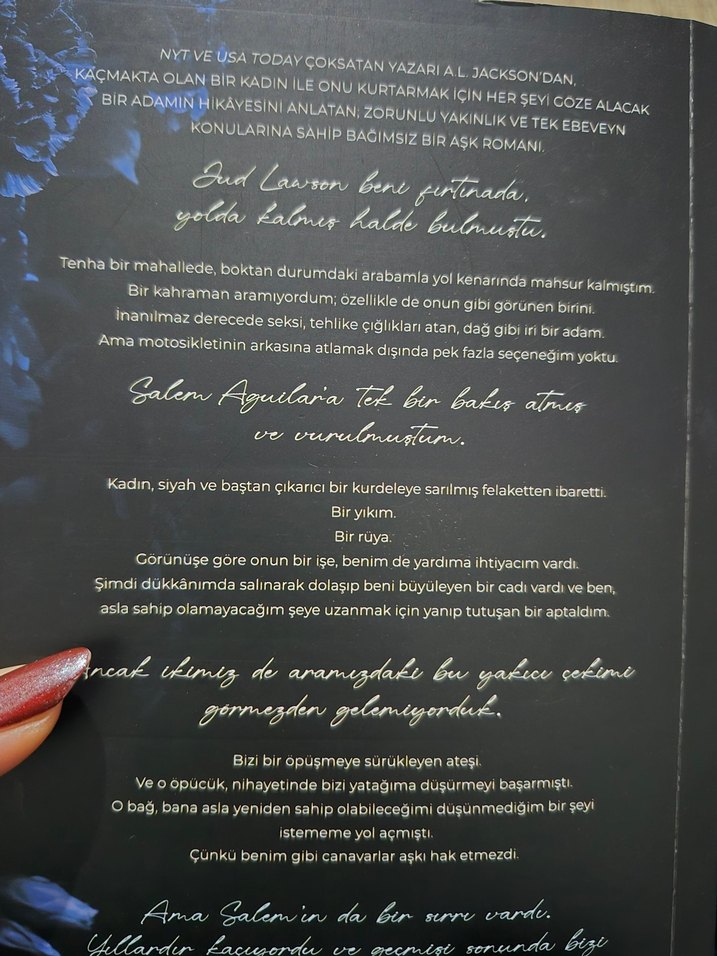 Sonsuza Dek Birlikte - A.L. Jackson - Görsel 2