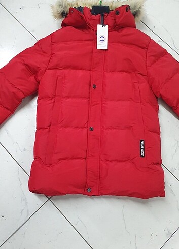 CANADAGOOSE marka temsili mont