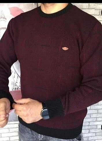 Erkek kazak 