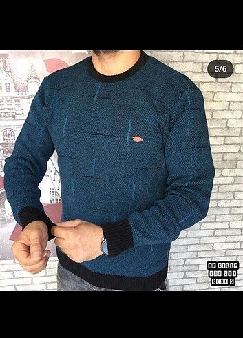 Erkek kazak 