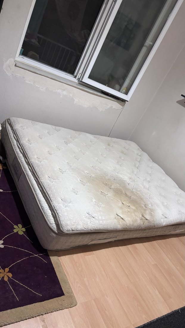 Beyaz Yatak Koruyucu - Görsel 2