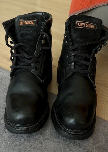 Harley Davidson Bot 41 Numara