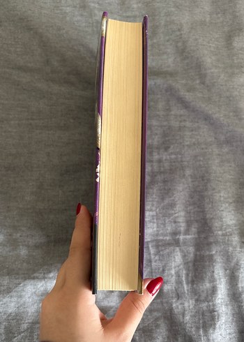 Yeşilin Kızı Anne Rüzgarlı Söğütler- L.M Montgomery - Görsel 3