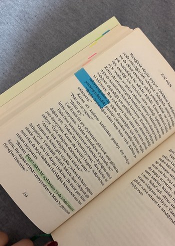 Sevgili Limon Çiçeği - Betül Güçlü - Görsel 3