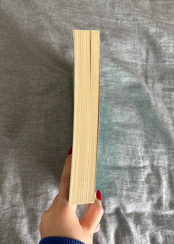 Nefret oyunu- Sally Thorne - Görsel 2