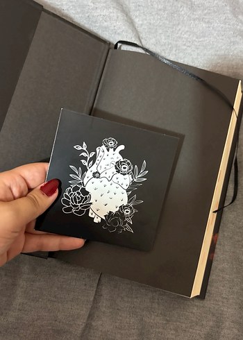 Asel - Sena Nur Işık Romanı - Görsel 2